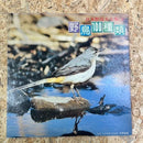 日本野鳥大全集 野鳥100種類
