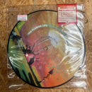 FLAMING LIPS Do You Realize? ?/ WARNER BROS.