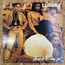 L.L. COOL J Around the way girl