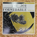 THE JOY FORMIDABLE WHIRRING