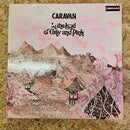 CARAVAN IN THE LAND OF GREY AND PINK