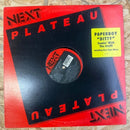 PAPERBOY DITTY