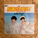 JAG-TOY やさしくなんかできない