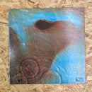 PINK FLOYD MEDDLE