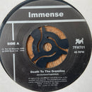 【シューゲイズ／ノイズ】 IMMENSE / Death To The Gremlins（FAT CAT 7FAT01）