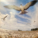 【南国の空気をまとったジャパニーズ・フュージョン名盤】 高中正義 – SEYCHELLS （Kitty / MKF 1003 / Japan Press / LP）