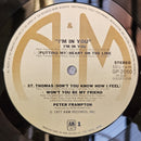 Peter Frampton I'm In You