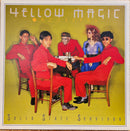 YELLOW MAGIC ORCHESTRA / SOLID STATE SURVIVOR